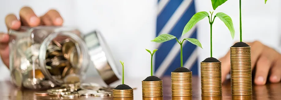 Cross-border Greenfield Investment One-stop Service